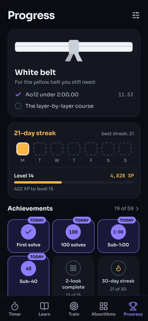 Progress: your belt, your daily streak, your XP and your achievements
