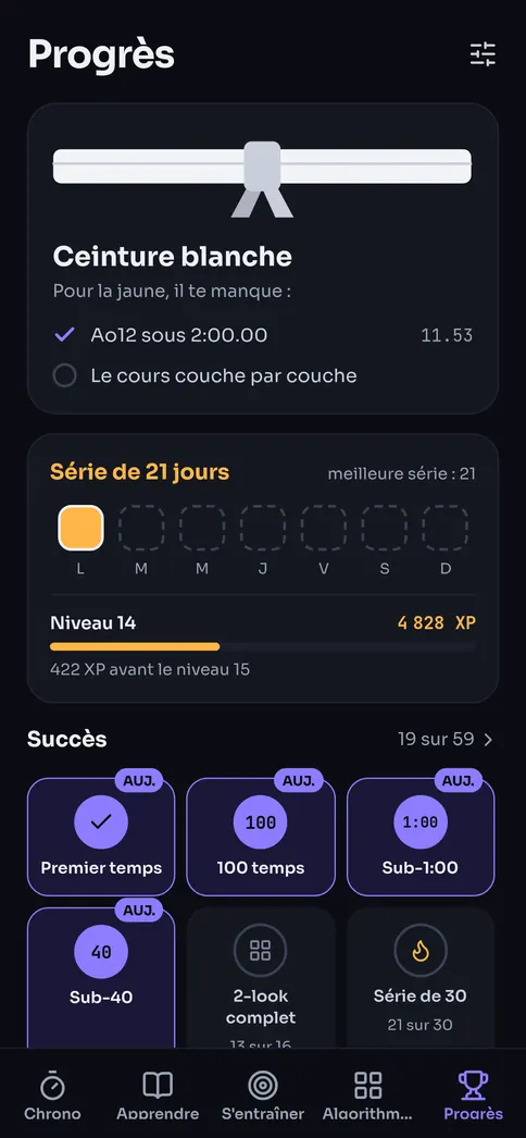 Progrès : votre ceinture, votre série quotidienne, votre XP et vos succès